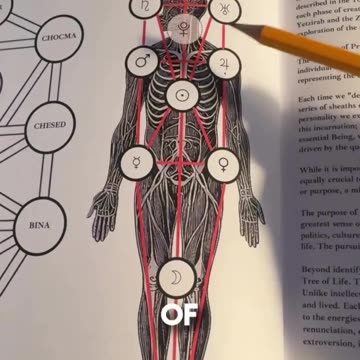 THE TREE OF LIFE & THE HIDDEN FORCES OF REALITY 🌳✨