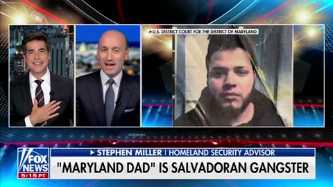 Stephen Miller wrecks brainless liberals who stood up for a “Maryland dad” who ended up being an MS-13 member