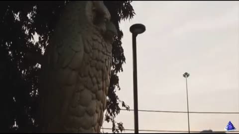 LATE NIGHT VIBES, HMU FOR PROMO [Adult Swim Stream] [6-10-2025]