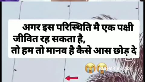 Duniya me bahot dard hai bhai