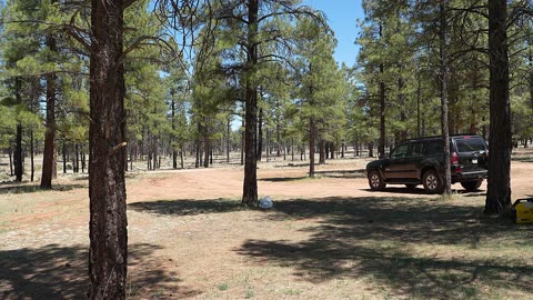 Boon Docking Grand Canyon