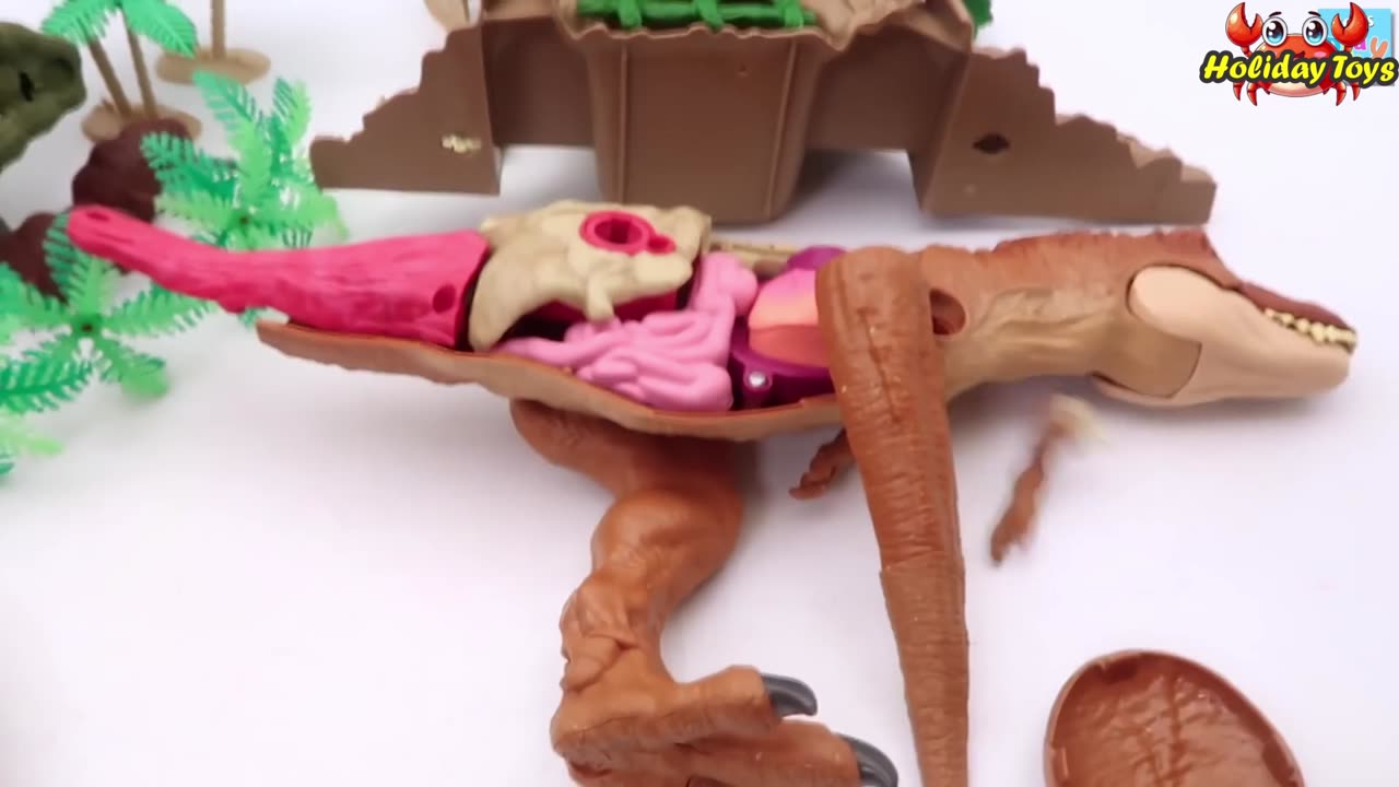 Giant Crocodile Eats Three Eggs Under the Beach Sand