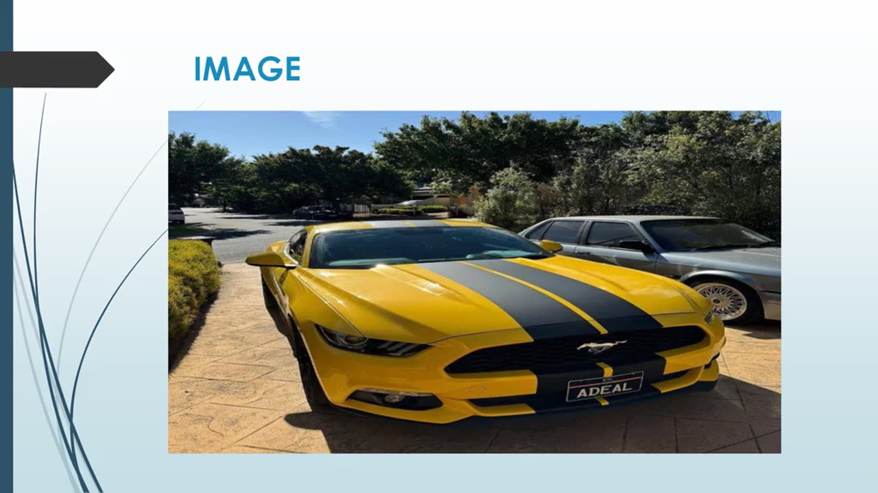 Best Vinyl Wraps in Tottenham