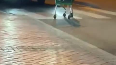 🤔🚶‍♂️ You Won't Believe How This Person Crossed! | FunFM