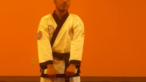 Instructor Marlon Gavironda Learning Chon Tu Taekwondo Hyung #1