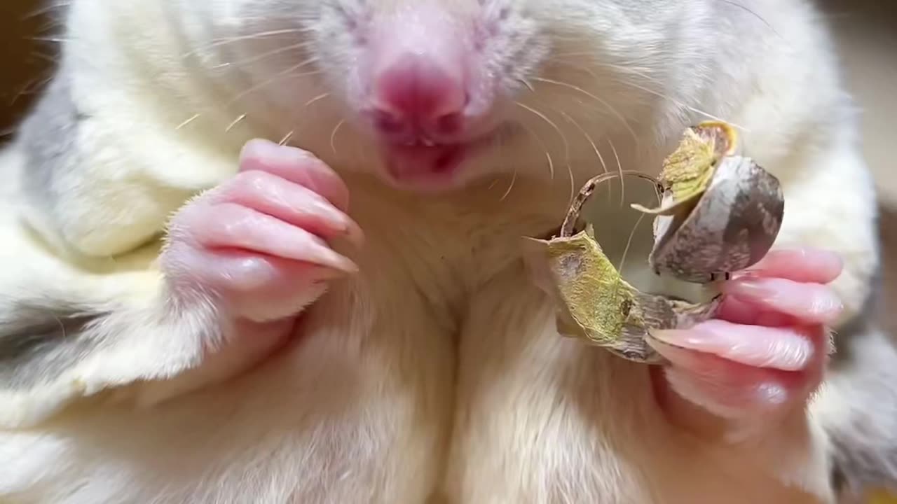 Một món ăn ngon nối tiếp