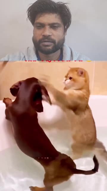 Yeh Kya Ho Gaya 😂 | Sabse Mazedaar Moment