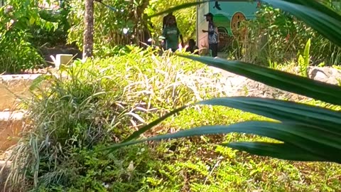 22.11.2025 Children's Playground