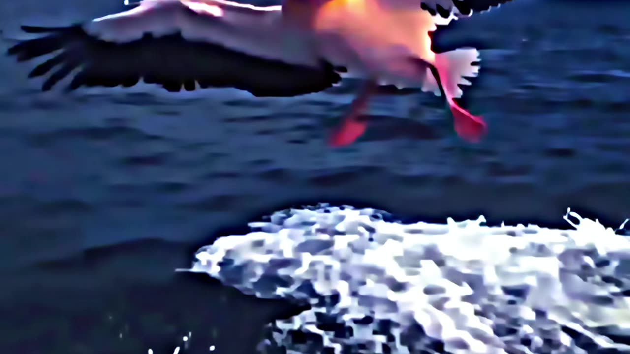 Rate the skill