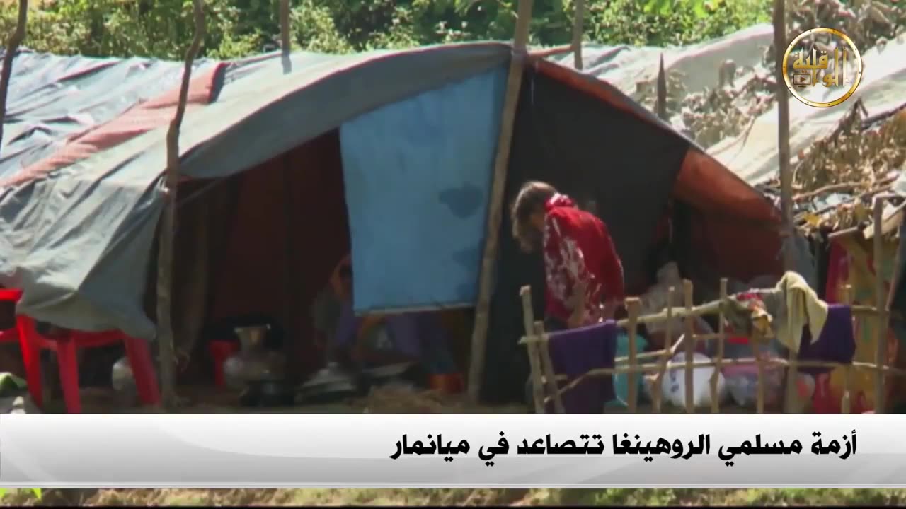 نشرة الأخبار 31.08.2017