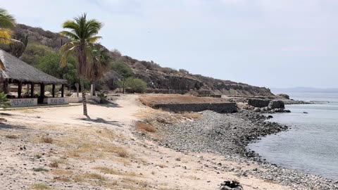 Essential Supplements for Brain and Mood Health