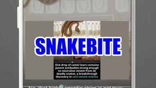 The Daily NOT - A show about what didn't happen today. Episode 601.