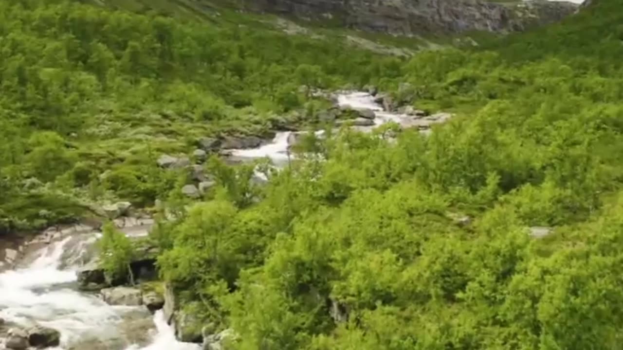 بريد الجمعة .. خاطر في الليل