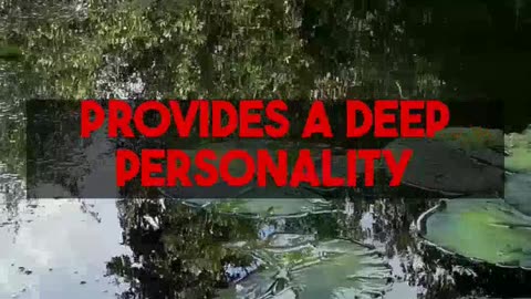 psychprofile.io AI: Deep personality insights from our powerful case studies.