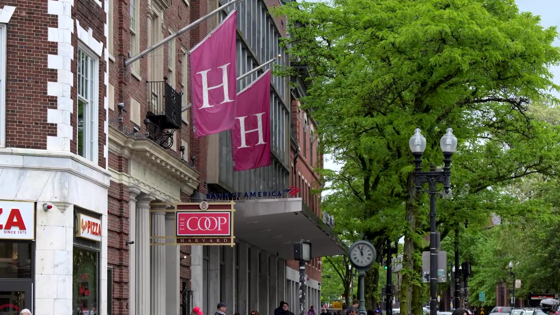 Trump says Harvard has got to behave themselves