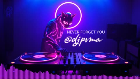 DJPVMA x ZARA LARSSON x MNEK - NEVER FORGET YOU (CLUB MIX)