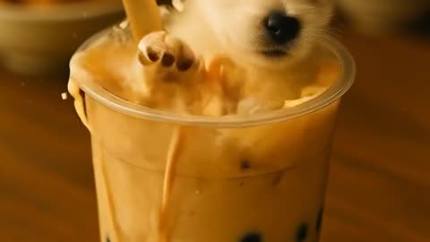 Dog swiming in the milkshake #viral video