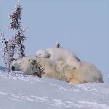 The safest spot.. 😊