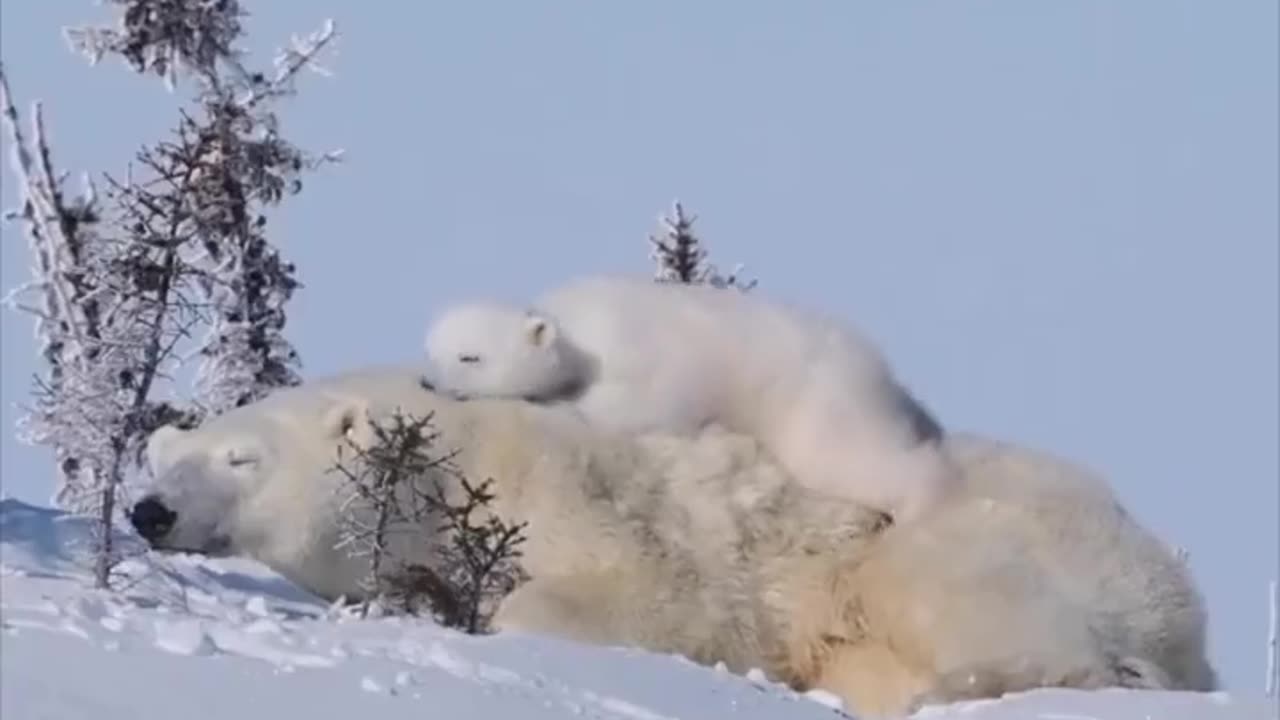 The safest spot.. 😊