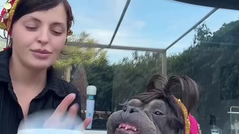 😂🐾 Meet the Adorable Hippo Loving Meatballs & Yogurt! | FunFM