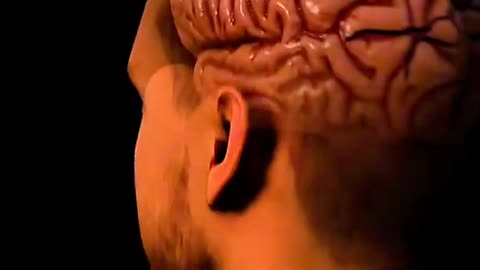 the most dangerous signs you have ADHD - FitDrop