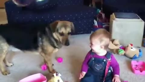 😁 Fanny 🐕 dog 🚻 and Baby