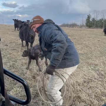 Tag em and set em free!