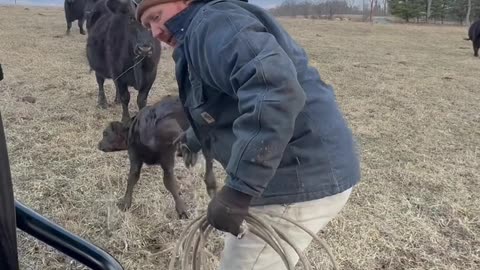 Tag em and set em free!