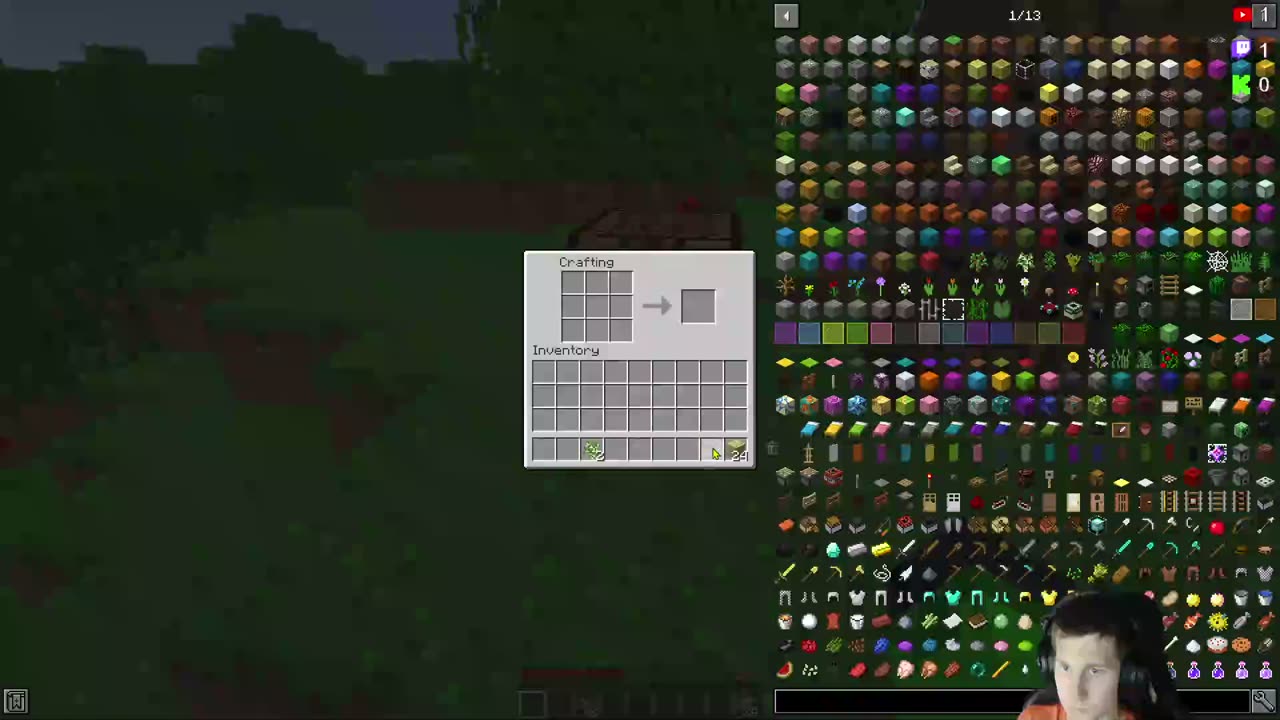 Playing Minecraft -Anyone can join+Viewers can request games