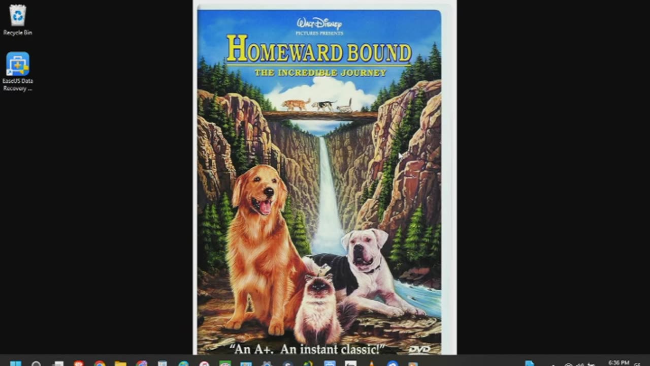 Homeward Bound Review