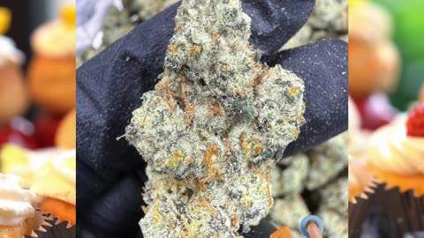 Triple Cake | 32% THCa | Exotic Indoor Hybrid | Vanilla Cake x Pineapple x Calm Euphoria
