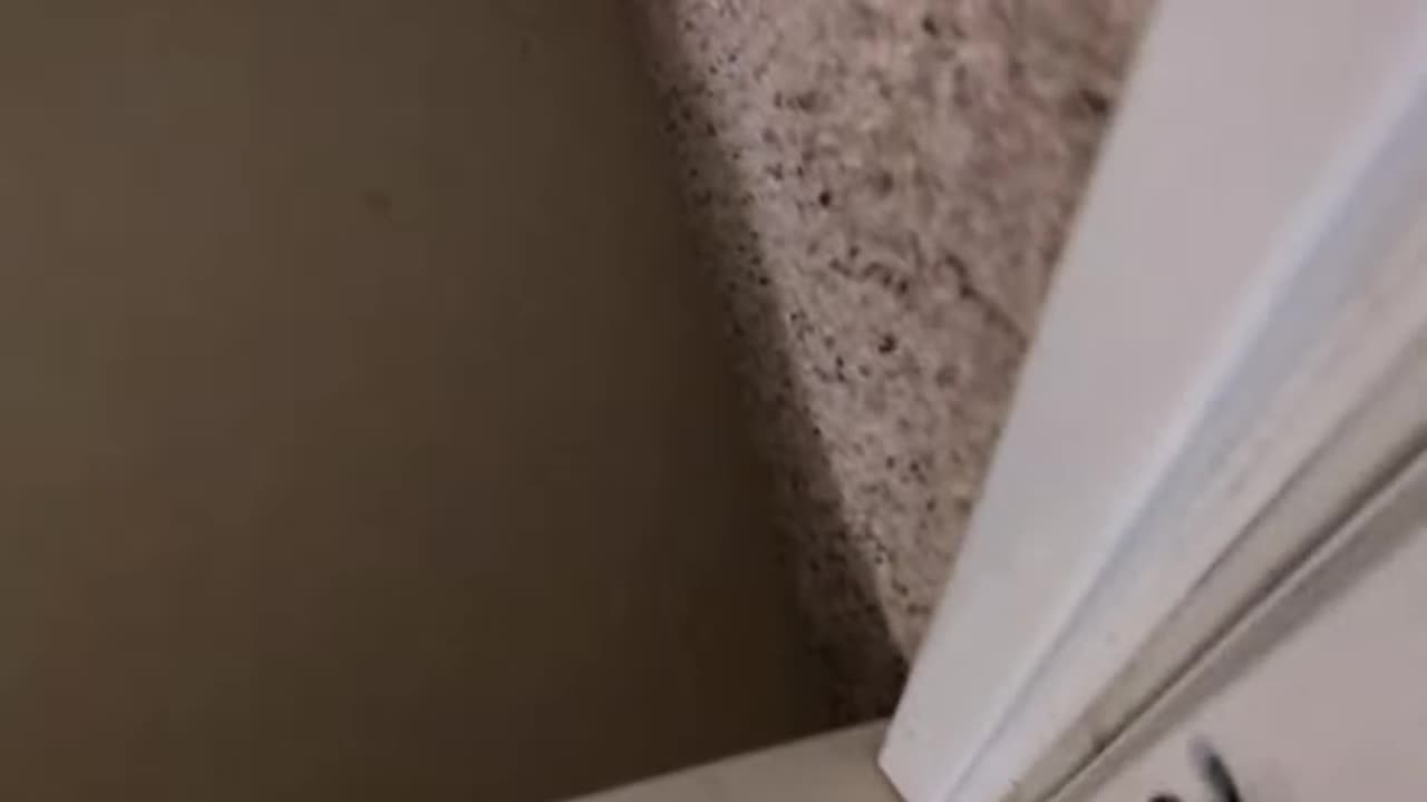 Cowboy's Home Reno Hacks_ See the Screws! Door Install Tips