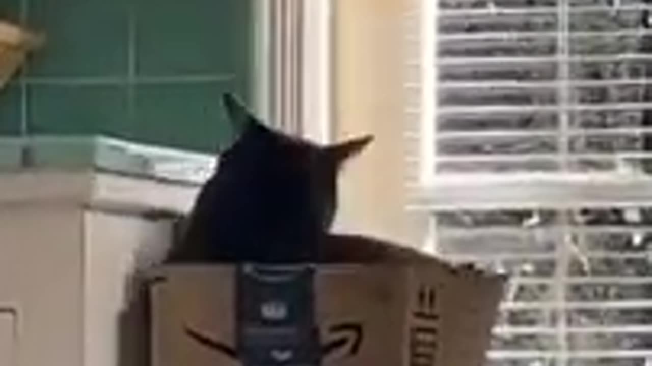 TRY NOT TO LAUGH 😆 Best Funny Videos Compilation 😂😁😆 Memes.