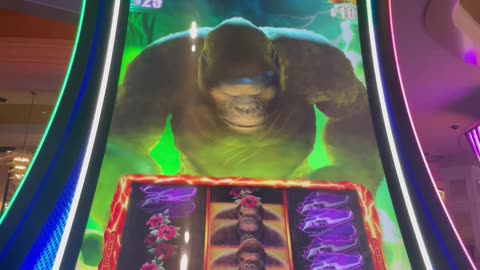 KONG bonus time! 🦍🔥🐵