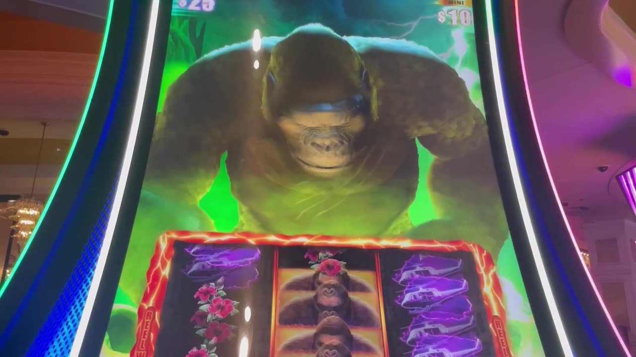 KONG bonus time! 🦍🔥🐵