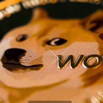 MoonBull Surges Past All! Top 9 Meme Coins Revealed