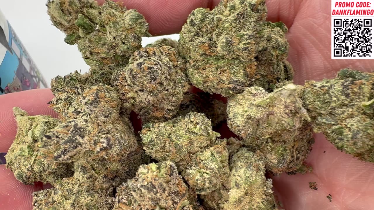 Bulk Wholesale DANK From TSB! Dankin With The Flamingos Product Review!