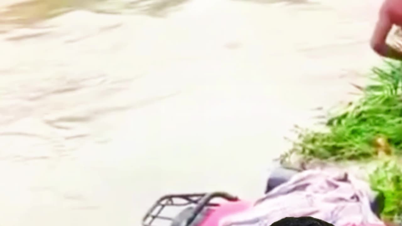 💦 Flood-er স্রোতে টলার উল্টে গেল! 😱🚤
