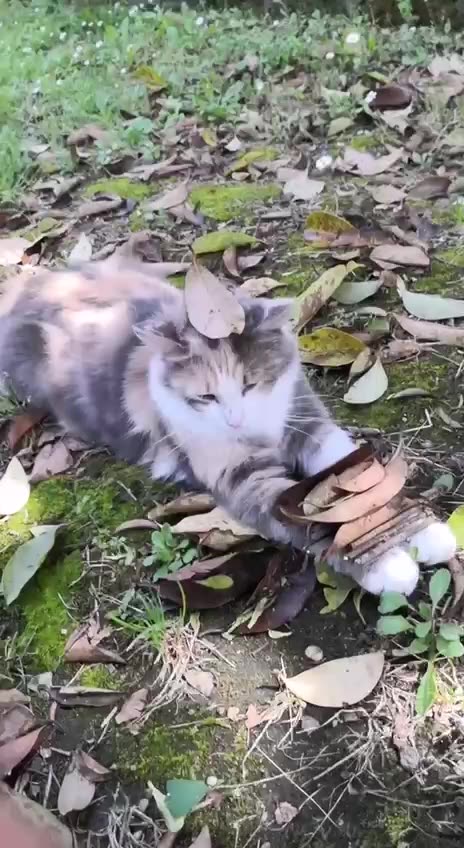 Fun game till it gets out of hand 😂