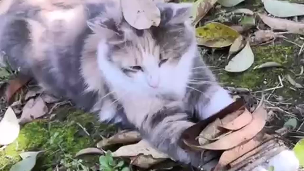 Fun game till it gets out of hand 😂