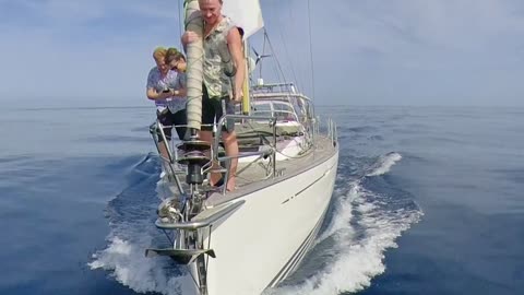 Dolphins From the Bow of Our Sailboat