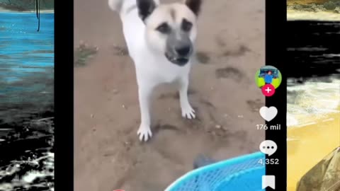 Just shorts videos - Follow 😜😋!!!!!!!