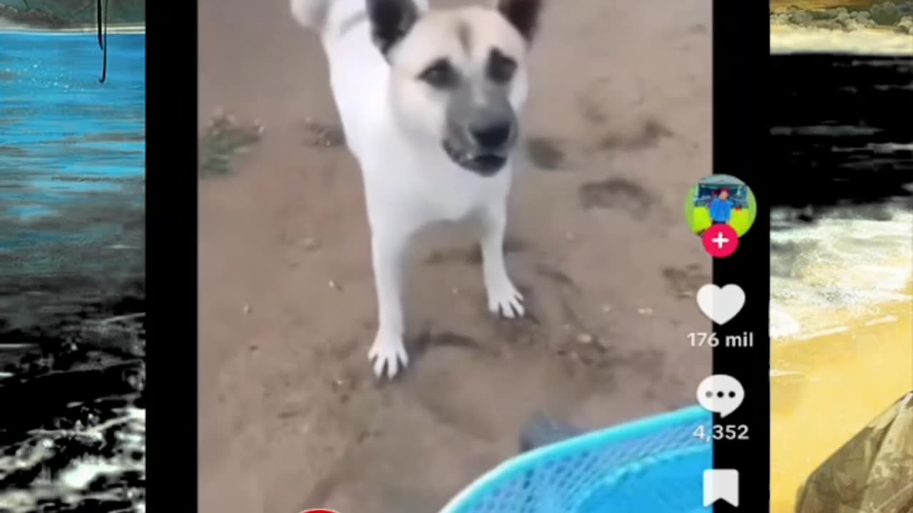 Just shorts videos - Follow 😜😋!!!!!!!