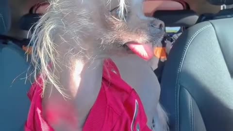 BAD DAY WEDNESDAY 9/24/25