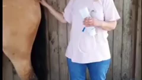 CABALLO CURADO DE MULTIPLES CONDICIONES DE LA PIEL CON LAS ENEMAS DE DIOXIDO DE CLORO