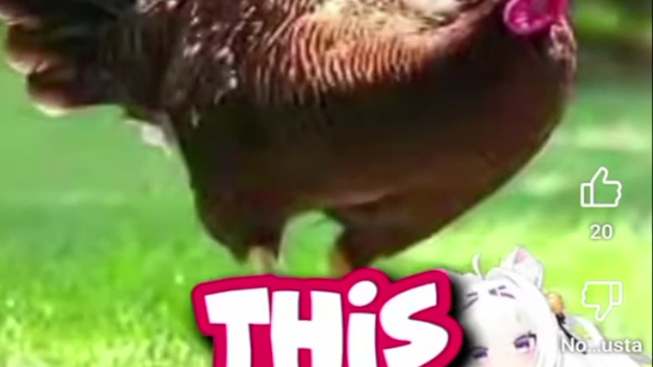 Just shorts videos 😜!!! 4