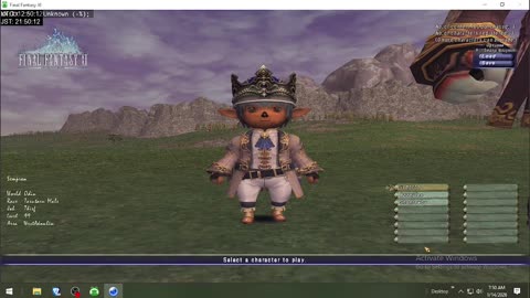 Playing Final Fantasy XI Online