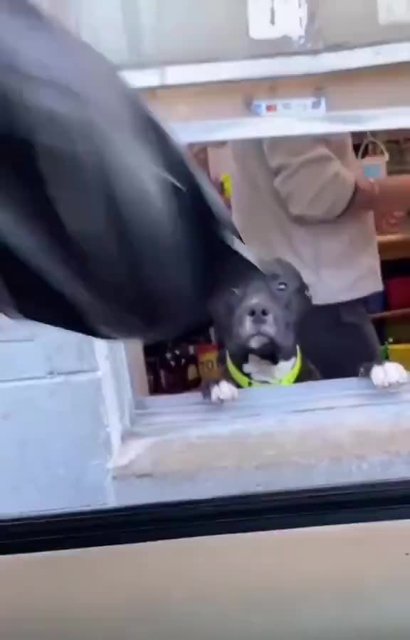 His first day on the job.. 👊