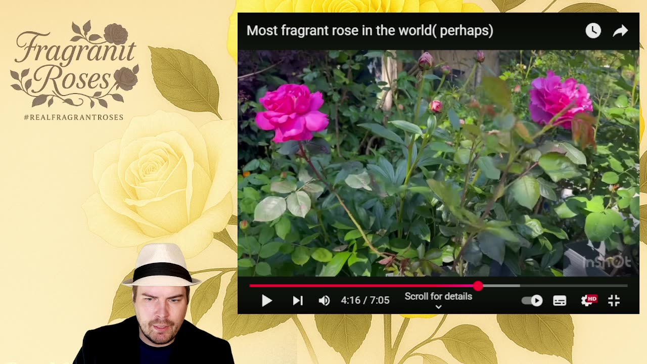 Reacting to Ken Voong’s Most Fragrant Rose in the World(Perhaps) 🌍 | Rose Lover’s Review