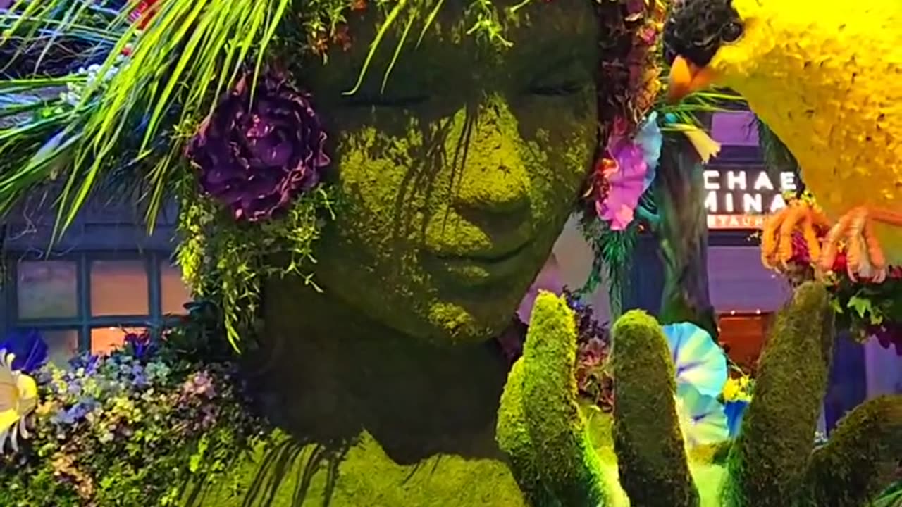 Bellagio Las Vegas Conservatory 🌸